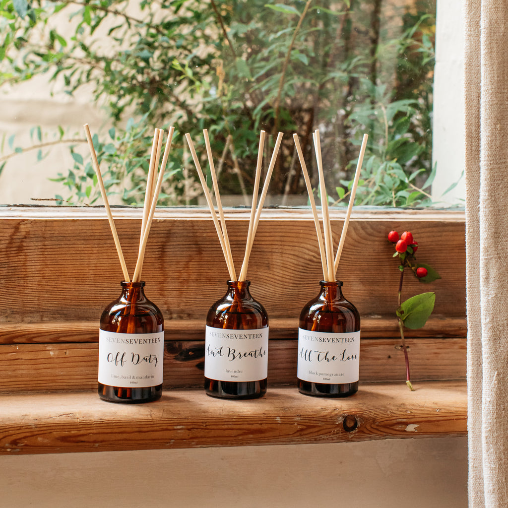 All The Love / Black Pomegranate Diffuser